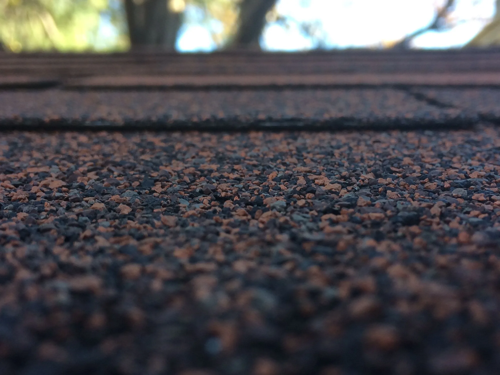 Close-up of asphalt shingle granules