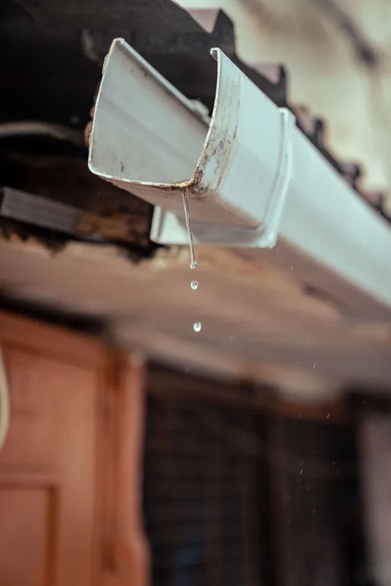 Rainwater dripping from a white gutter