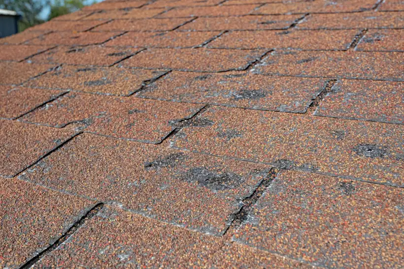 Hail-damaged asphalt shingles